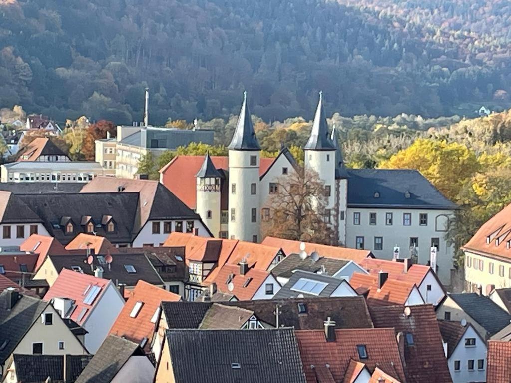 Ferienwohnung Im Springerhof Lohr Buitenkant foto